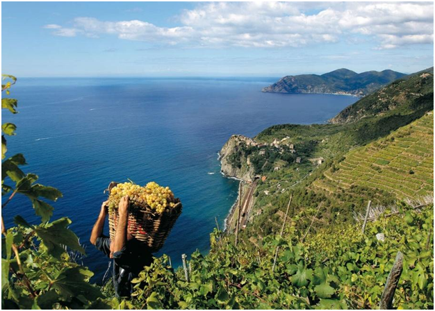 the landscape of Liguria 