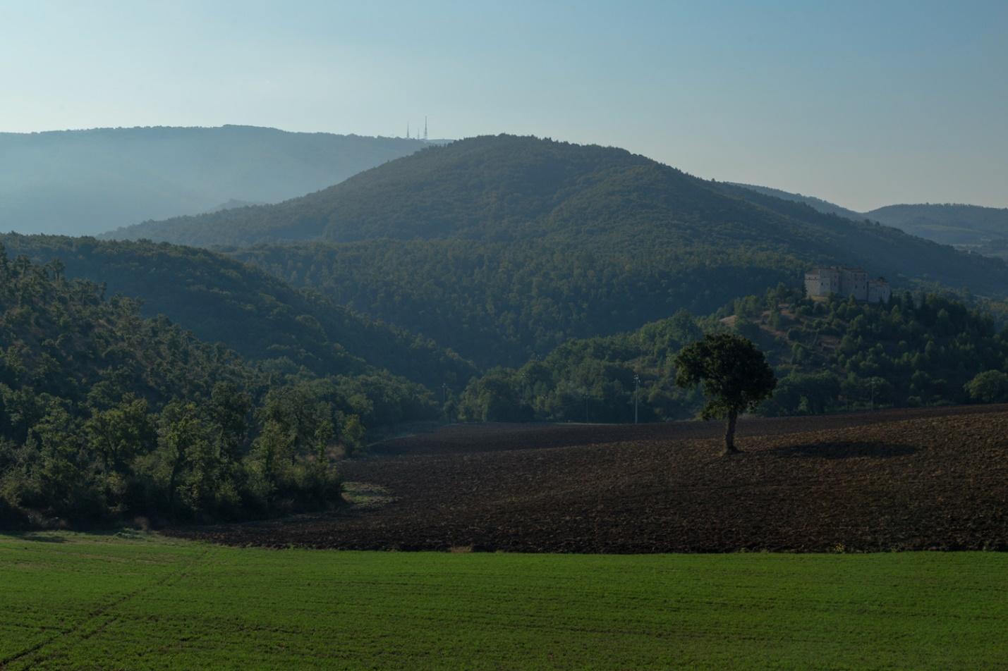 The rolling hills of Umbria.