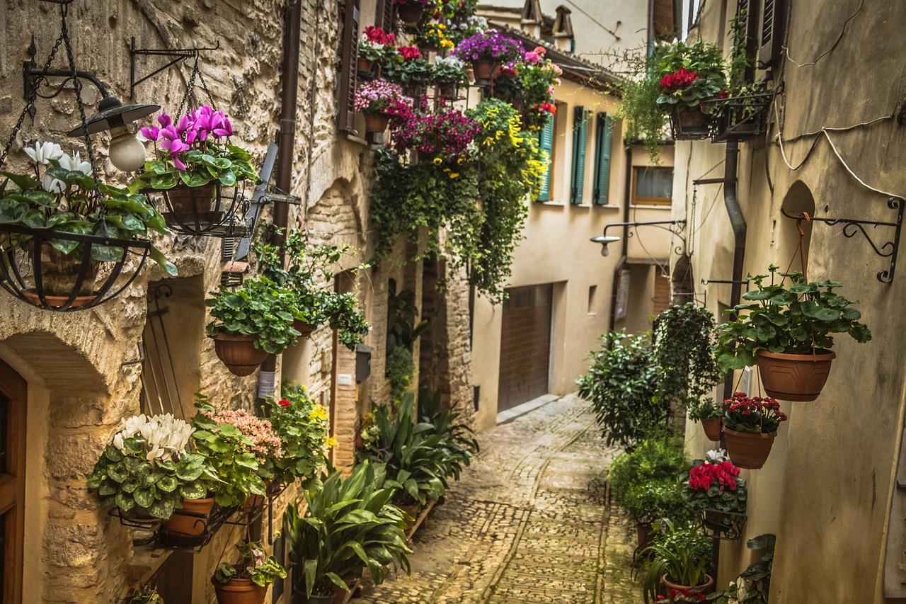 Flowers hanging in an alleyway in Spello.