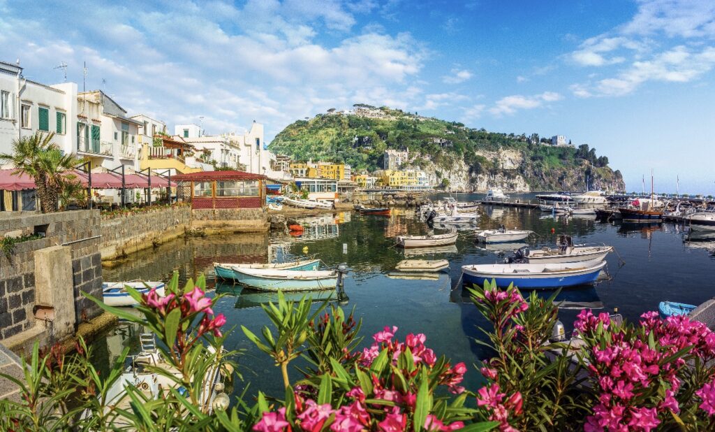 Flowers and blue water overlooking boats and historic cliffside buildings.