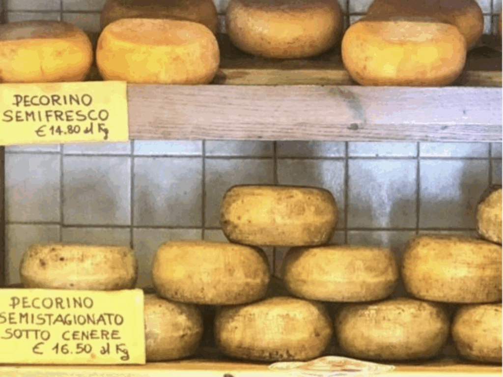 Wheels of pecorino cheese to explore while visiting Tuscany's best towns
