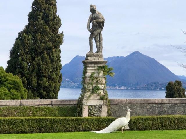 White peacock standing on a manicured green lawn beneath a weathered stone statue on a pedestal, with trimmed hedges, tall trees, a calm lake, and misty blue mountains in the background.