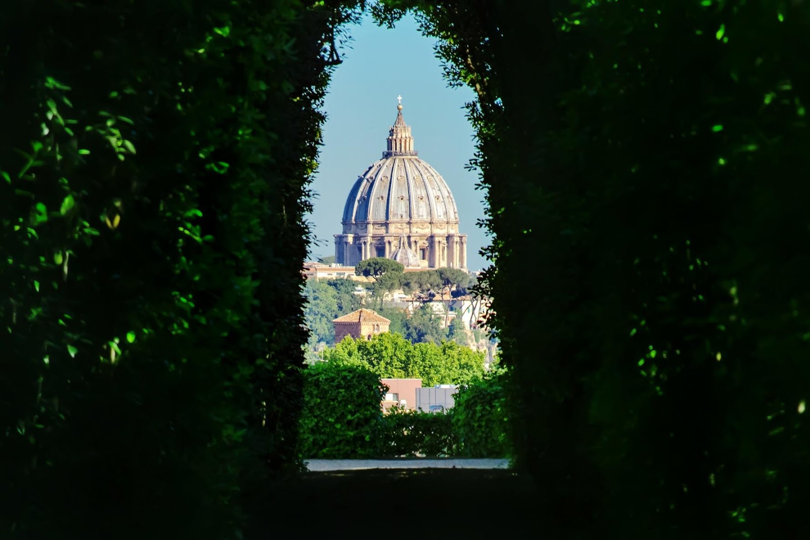 Framed view of St. Peter’s Basilica through lush garden hedges, evoking a hidden Emily in Rome perspective